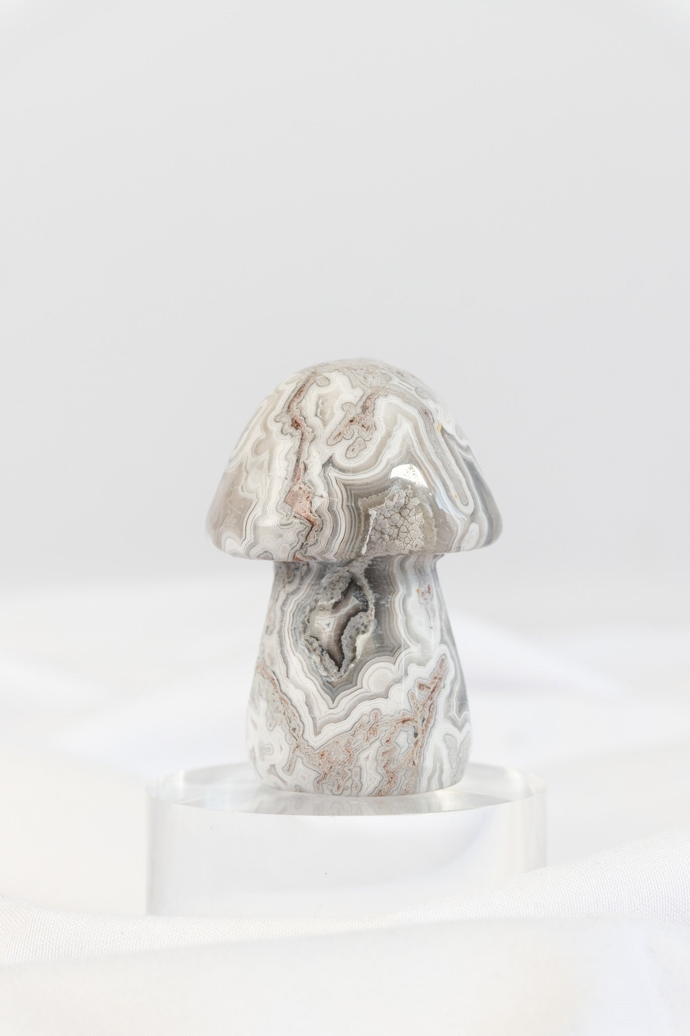 Mexican Crazy Lace Agate Mushroom