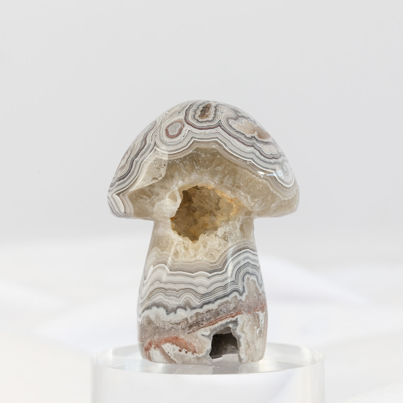 Mexican Crazy Lace Agate Mushroom