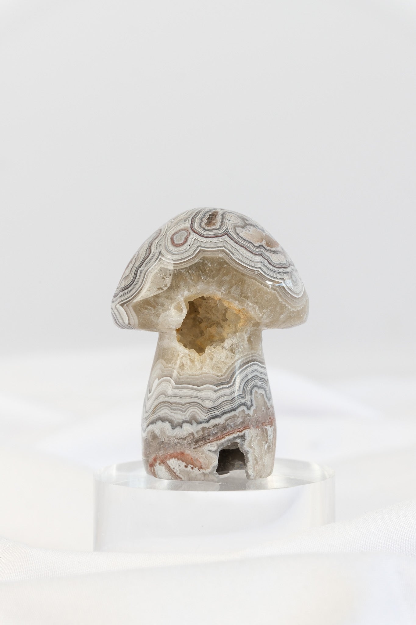 Mexican Crazy Lace Agate Mushroom