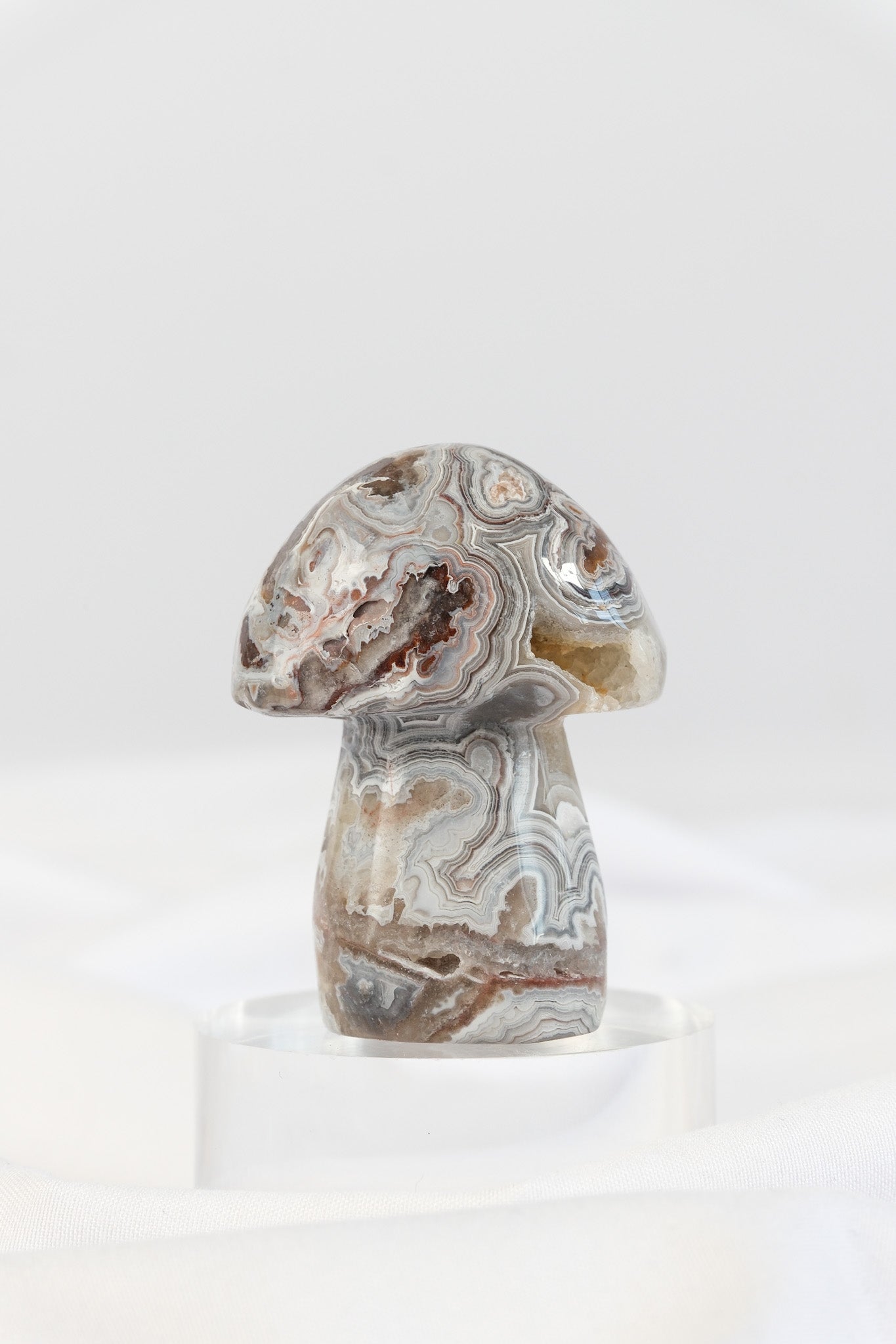 Mexican Crazy Lace Agate Mushroom