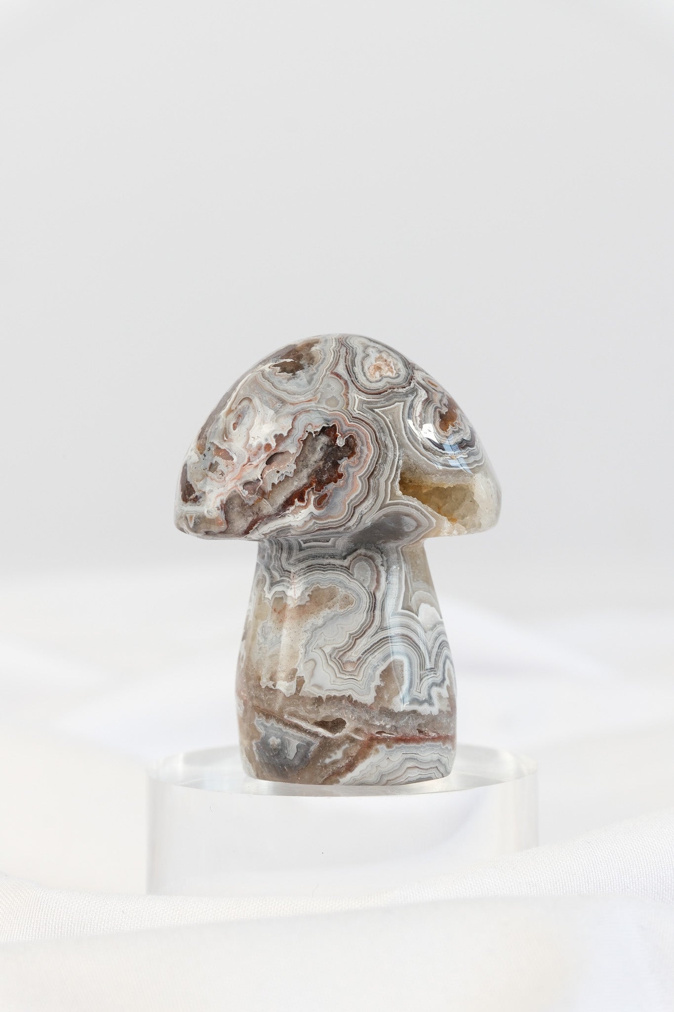 Mexican Crazy Lace Agate Mushroom