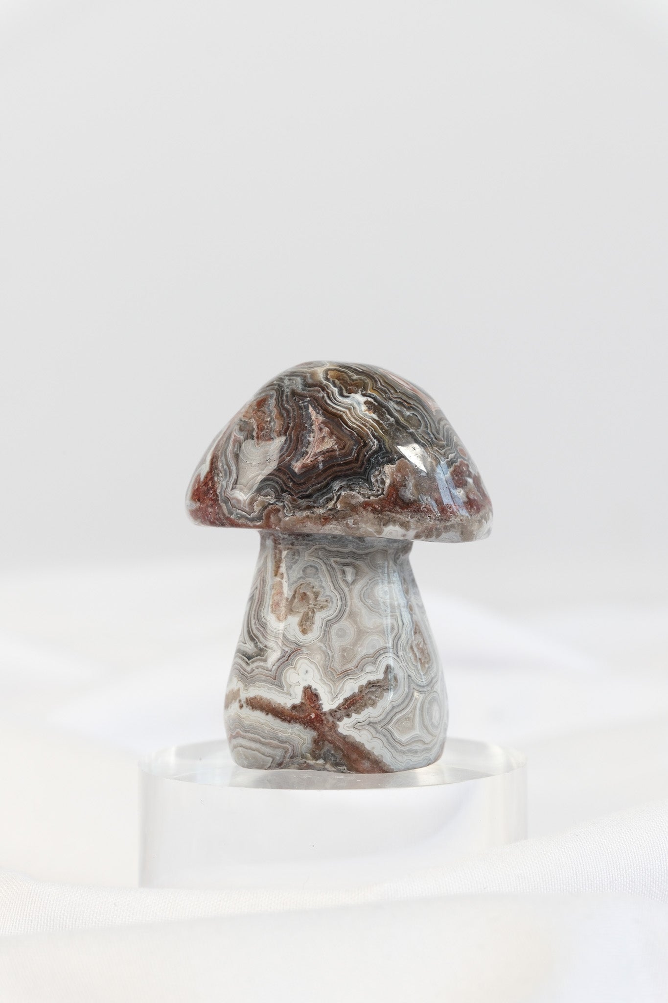 Mexican Crazy Lace Agate Mushroom