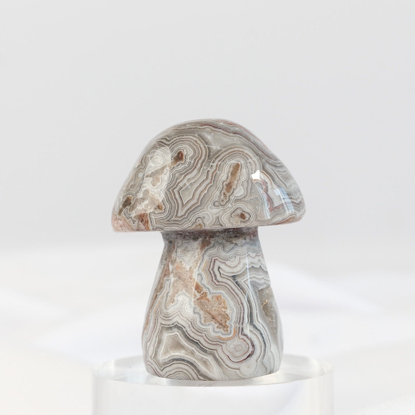 Mexican Crazy Lace Agate Mushroom
