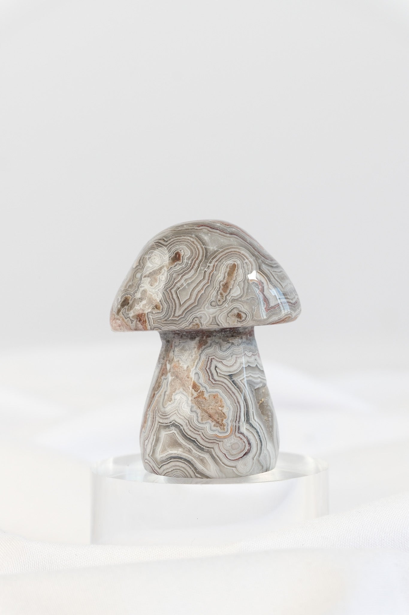 Mexican Crazy Lace Agate Mushroom