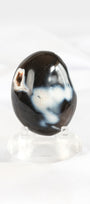 Orca Agate Palmstone