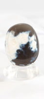 Orca Agate Palmstone