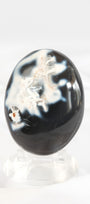 Orca Agate Palmstone