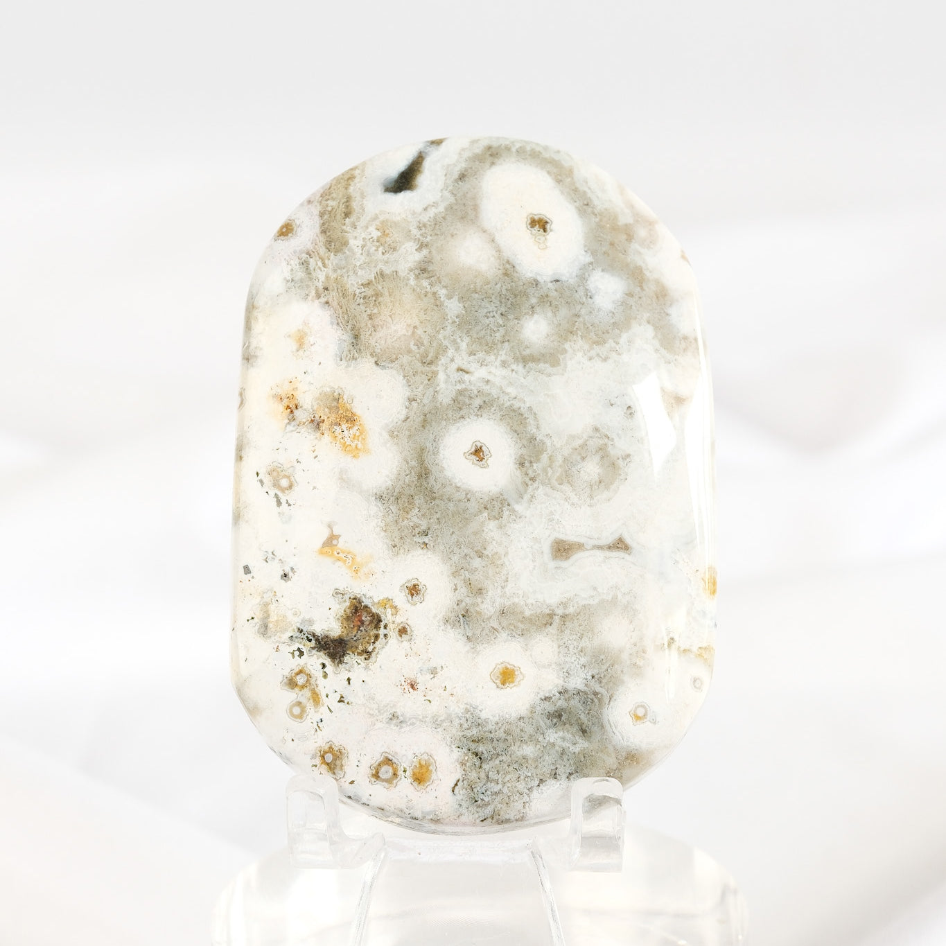 Orbicular Sea Jasper Palmstone *misfit*