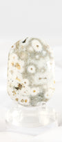 Orbicular Sea Jasper Palmstone *misfit*
