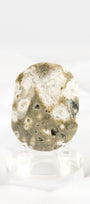 Orbicular Sea Jasper Palmstone *misfit*