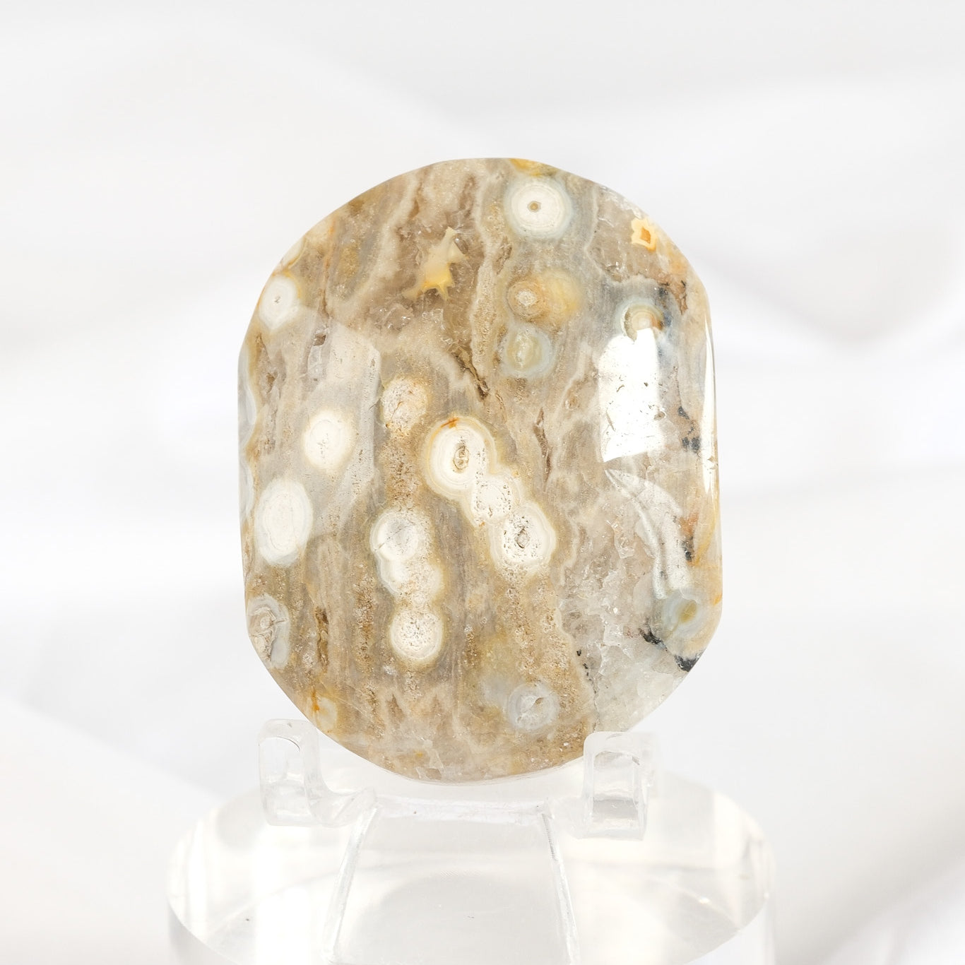 Orbicular Sea Jasper Palmstone *misfit*