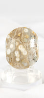 Orbicular Sea Jasper Palmstone *misfit*
