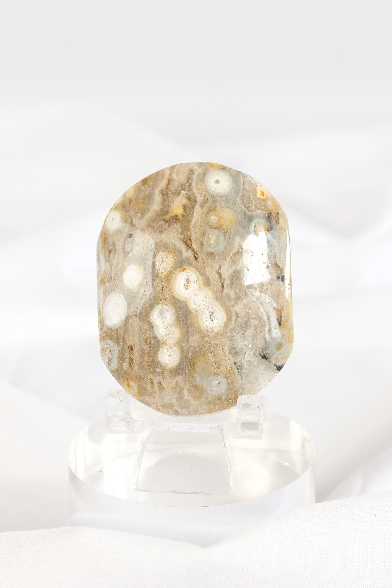 Orbicular Sea Jasper Palmstone *misfit*