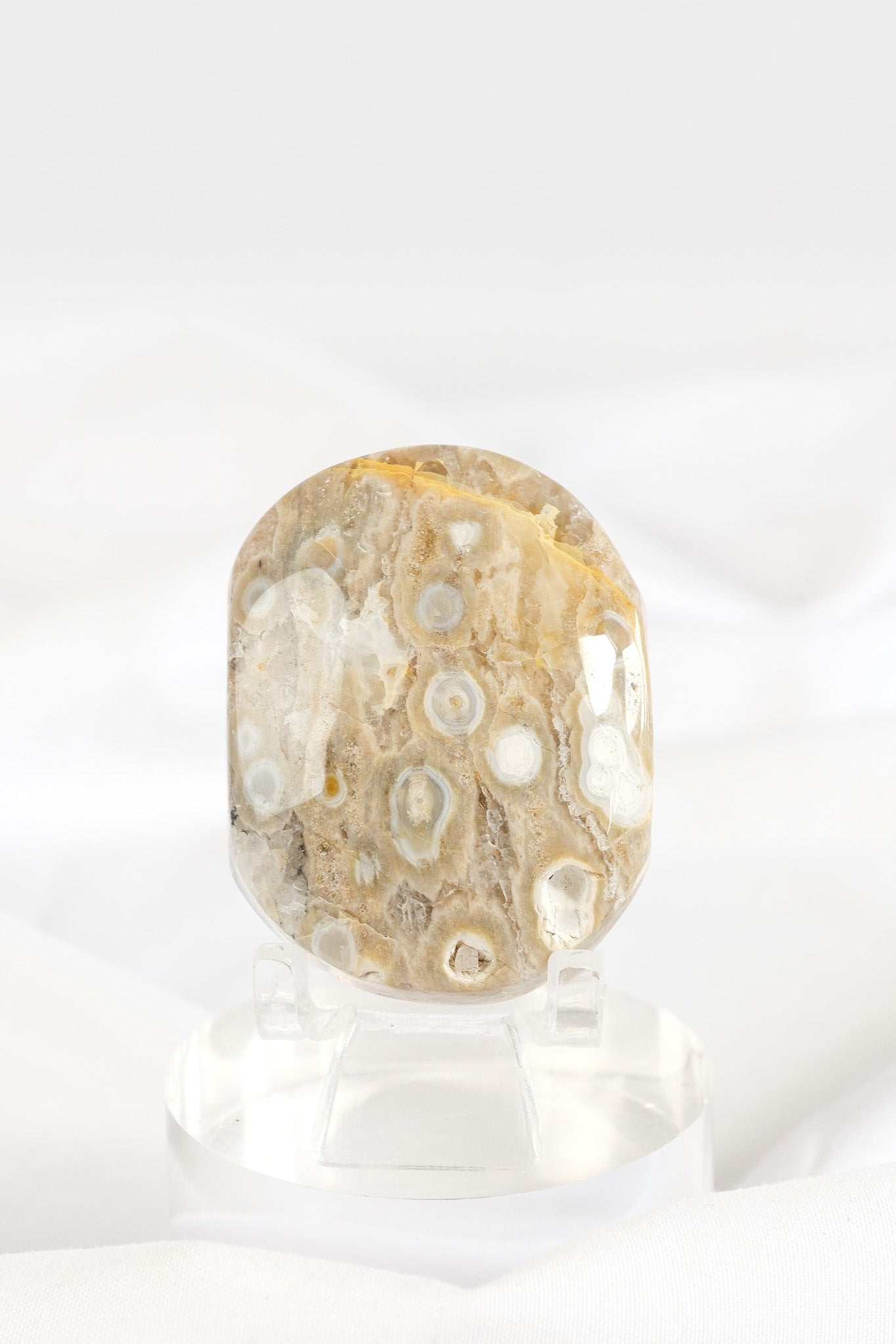 Orbicular Sea Jasper Palmstone *misfit*