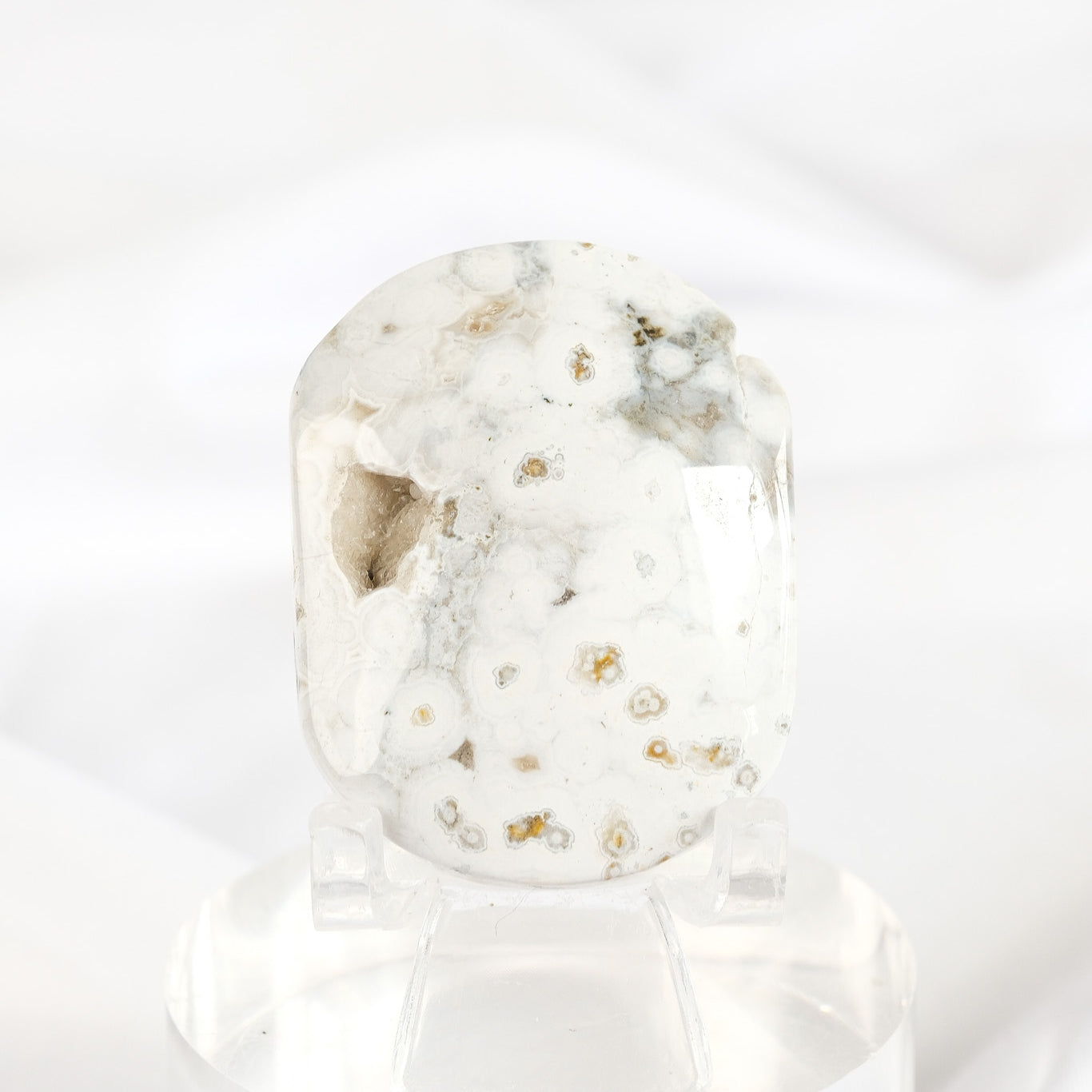 Orbicular Sea Jasper Palmstone *misfit*