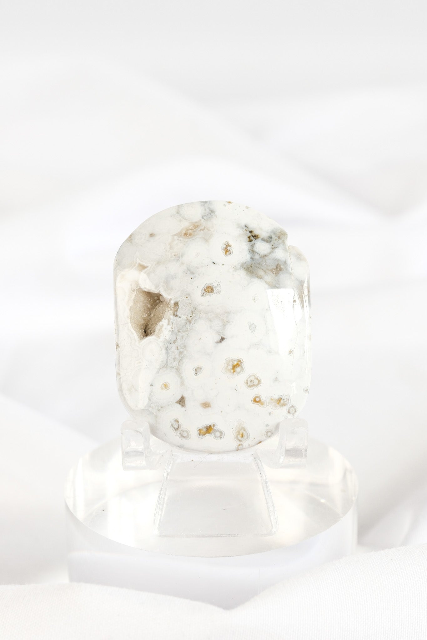 Orbicular Sea Jasper Palmstone *misfit*