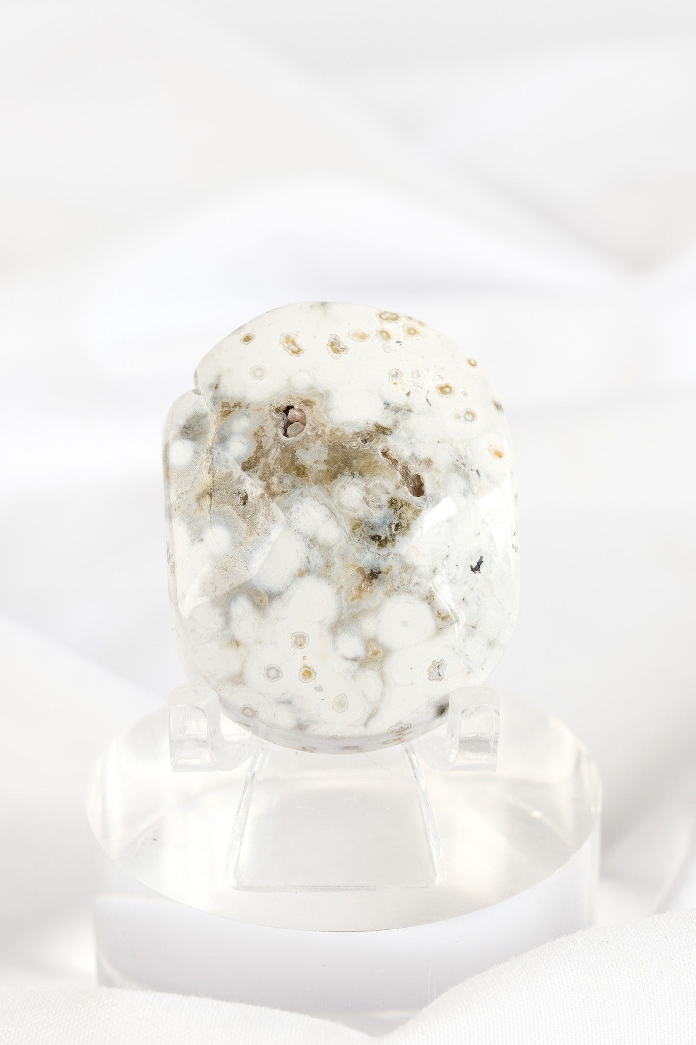 Orbicular Sea Jasper Palmstone *misfit*