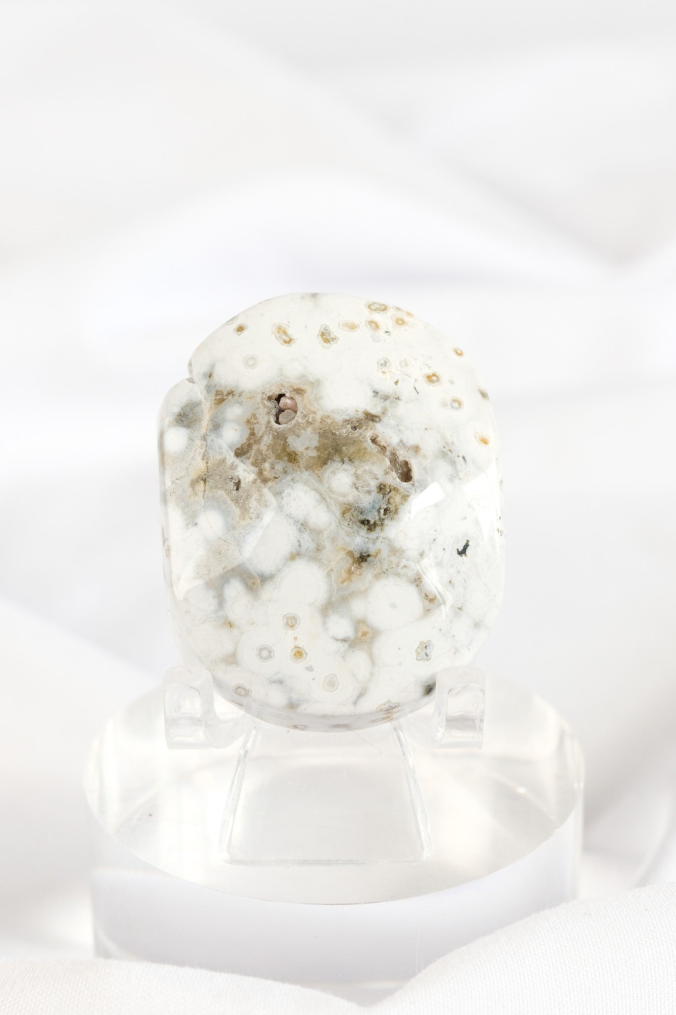 Orbicular Sea Jasper Palmstone *misfit*