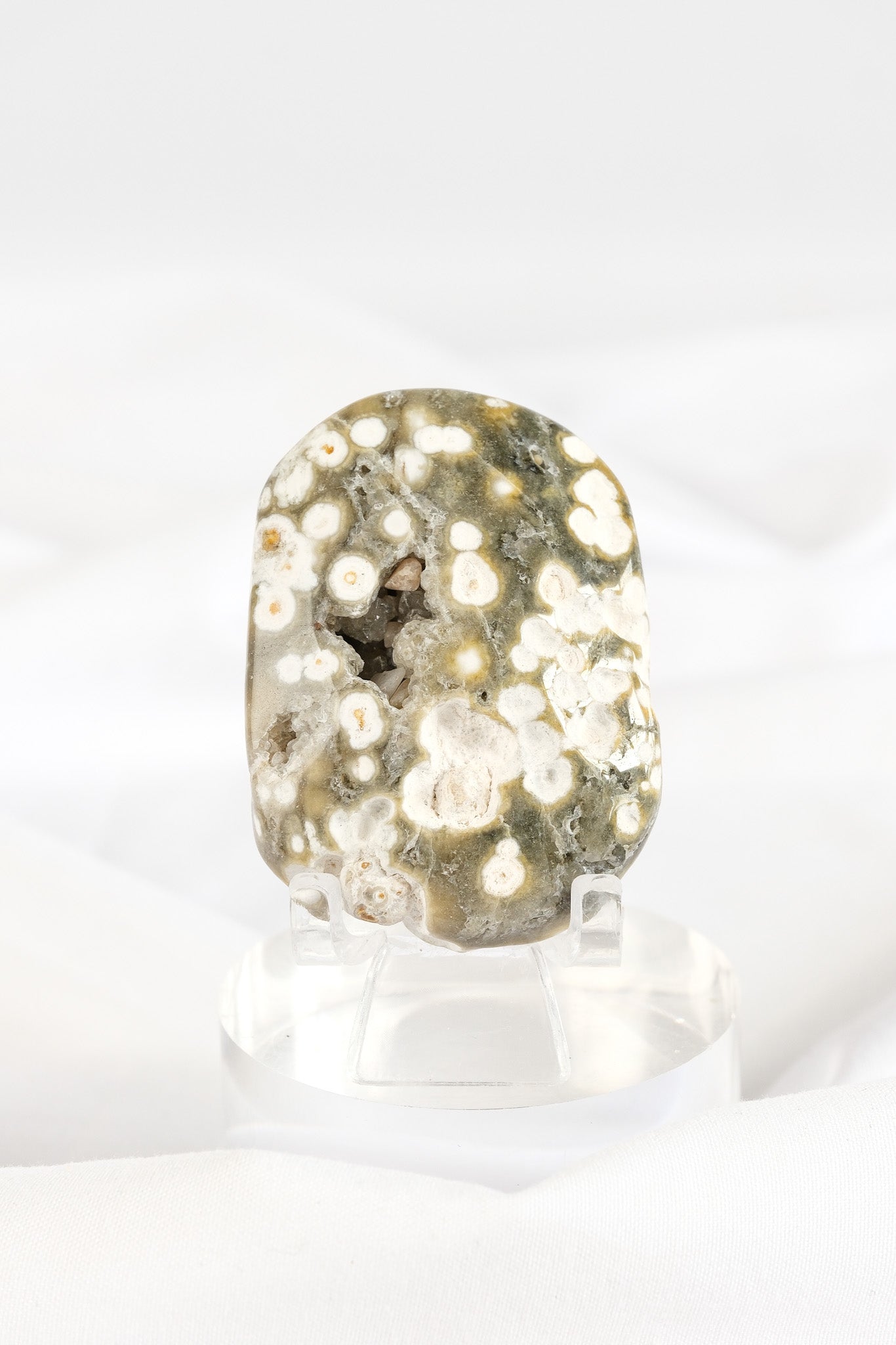Orbicular Sea Jasper Palmstone *misfit*