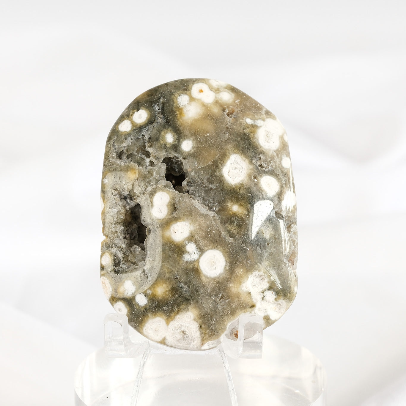 Orbicular Sea Jasper Palmstone *misfit*