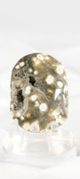 Orbicular Sea Jasper Palmstone *misfit*
