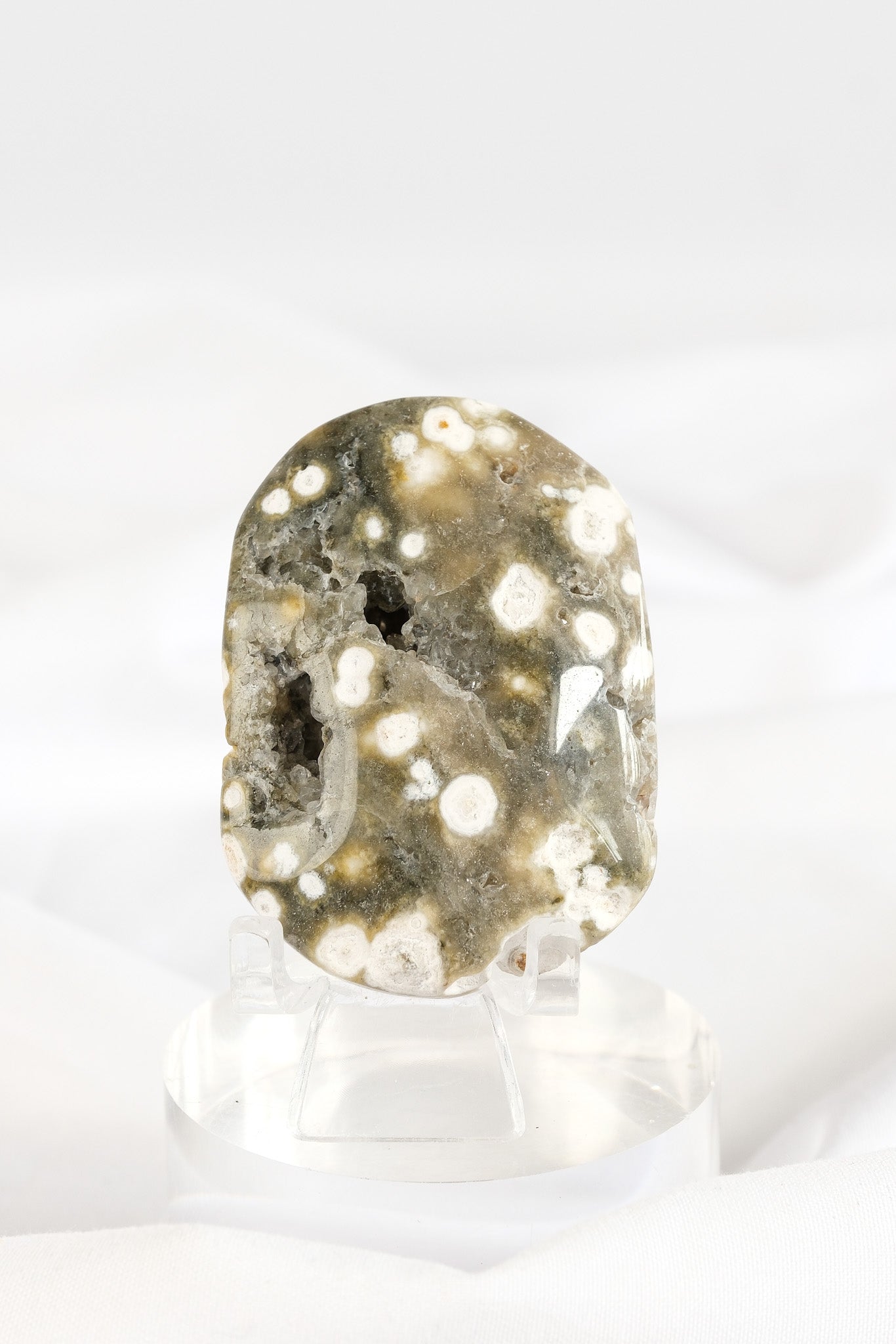 Orbicular Sea Jasper Palmstone *misfit*
