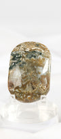 Orbicular Sea Jasper Palmstone *misfit*
