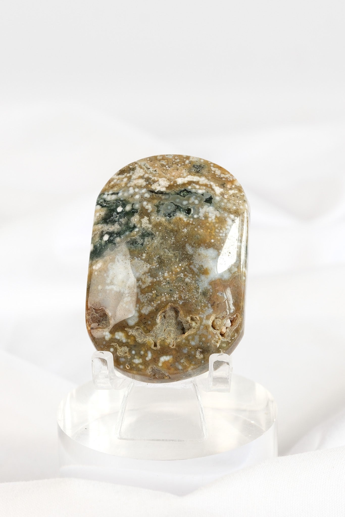 Orbicular Sea Jasper Palmstone *misfit*
