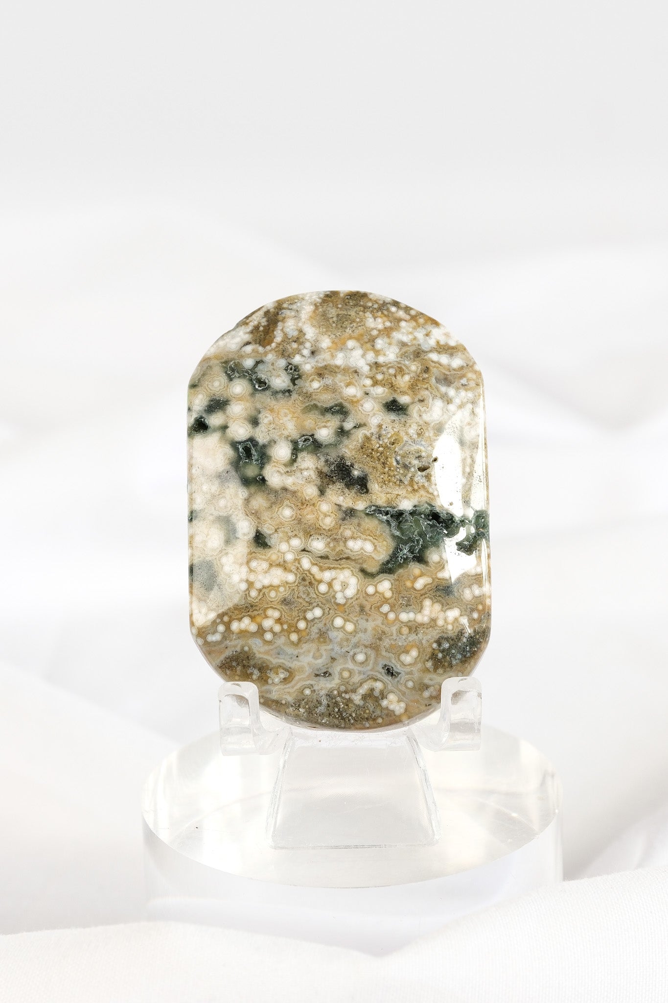 Orbicular Sea Jasper Palmstone *misfit*