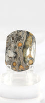 Orbicular Sea Jasper Palmstone *misfit*