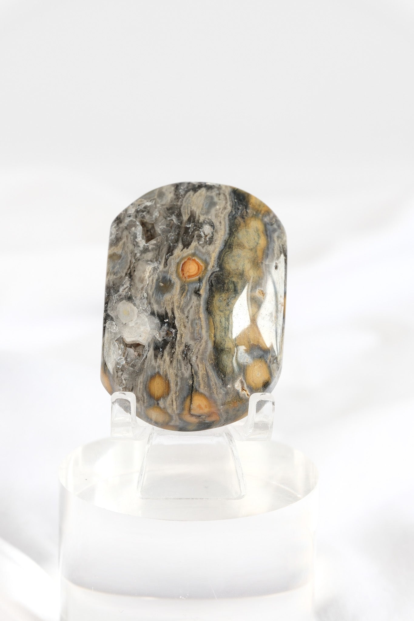 Orbicular Sea Jasper Palmstone *misfit*