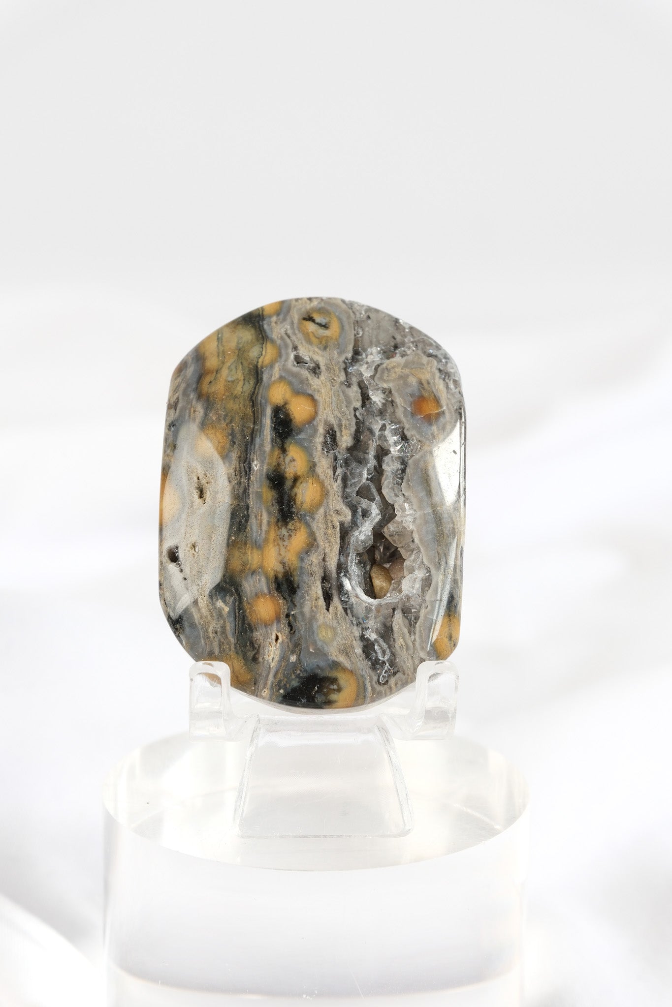 Orbicular Sea Jasper Palmstone *misfit*