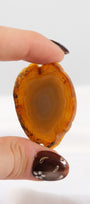 Agate Slice