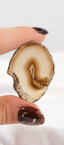 Agate Slice