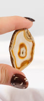 Agate Slice