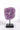 Amethyst Cluster on Stand