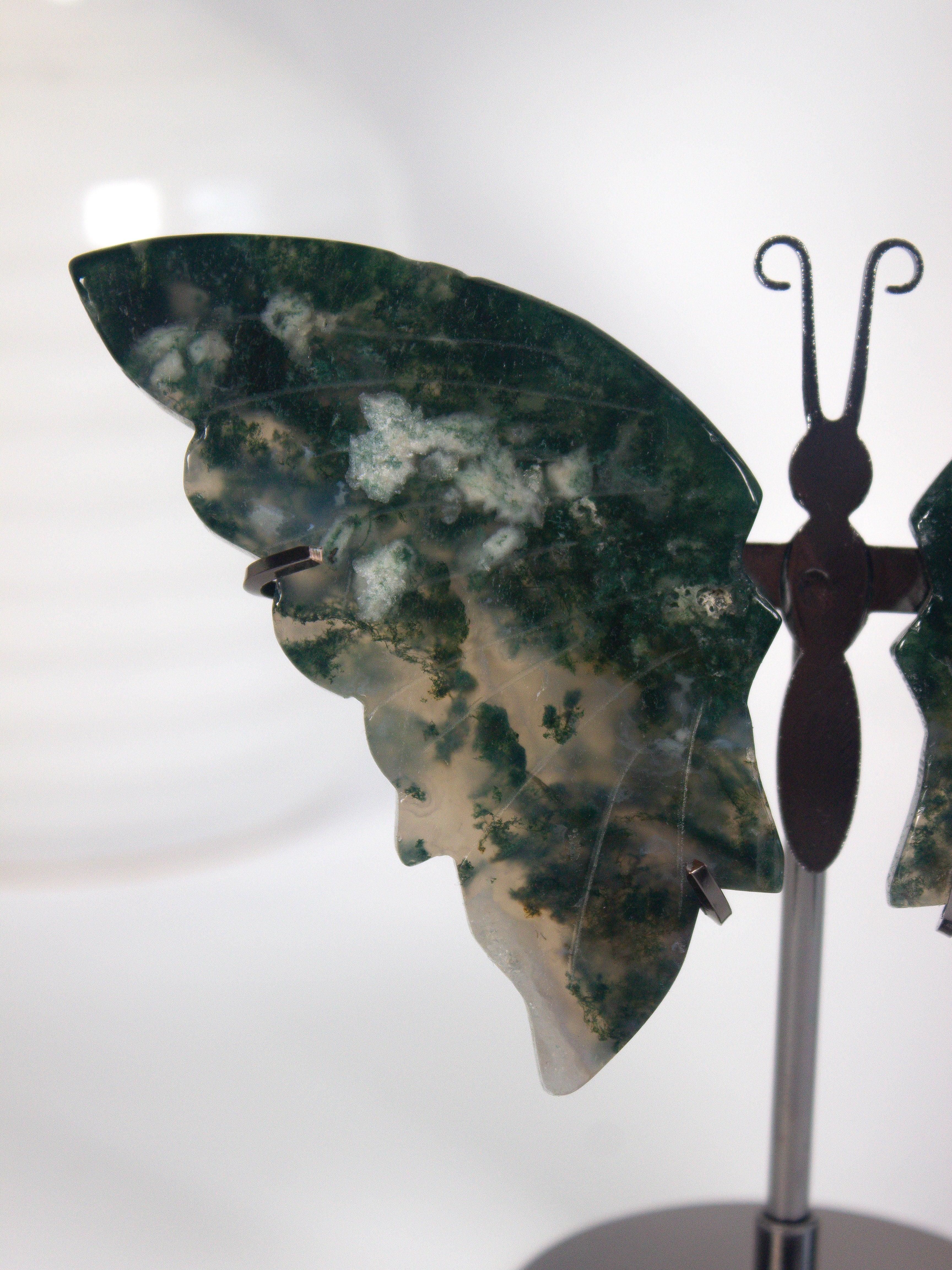 Moss Agate Butterfly on Stand