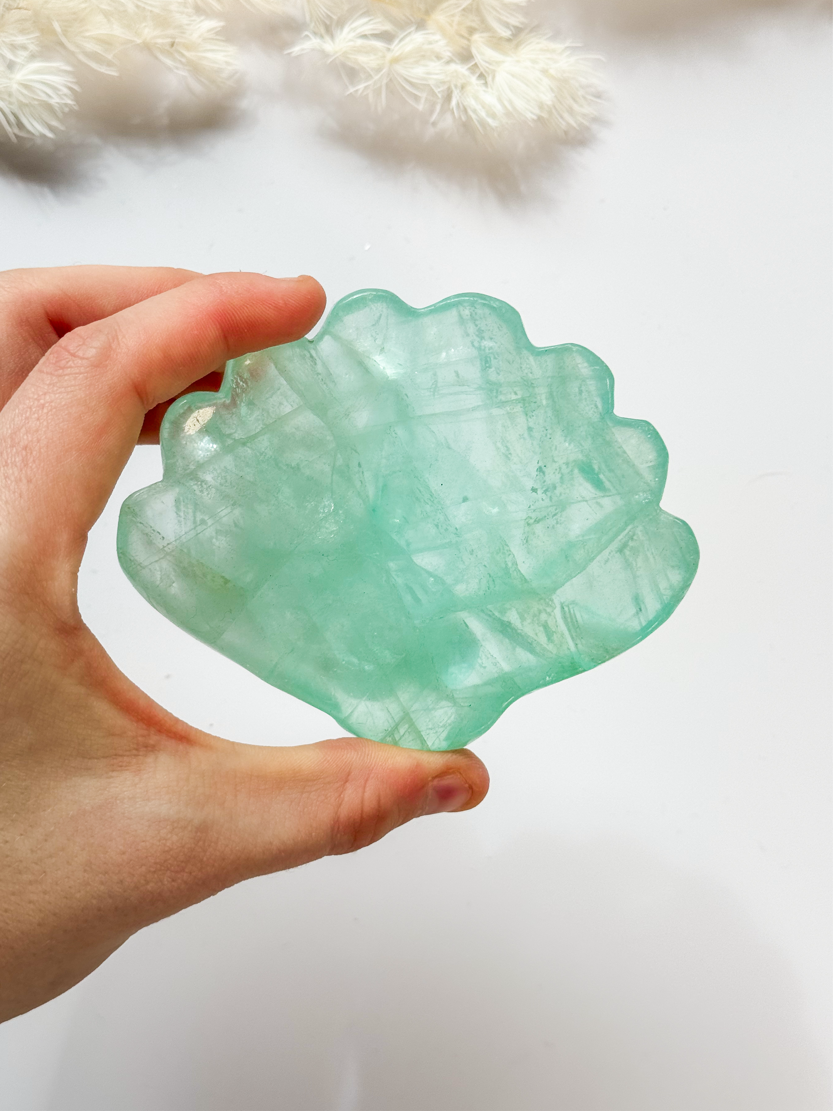 Fluorite Shell Bowl