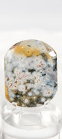 Orbicular Sea Jasper Palmstone