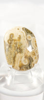 Orbicular Sea Jasper Palmstone