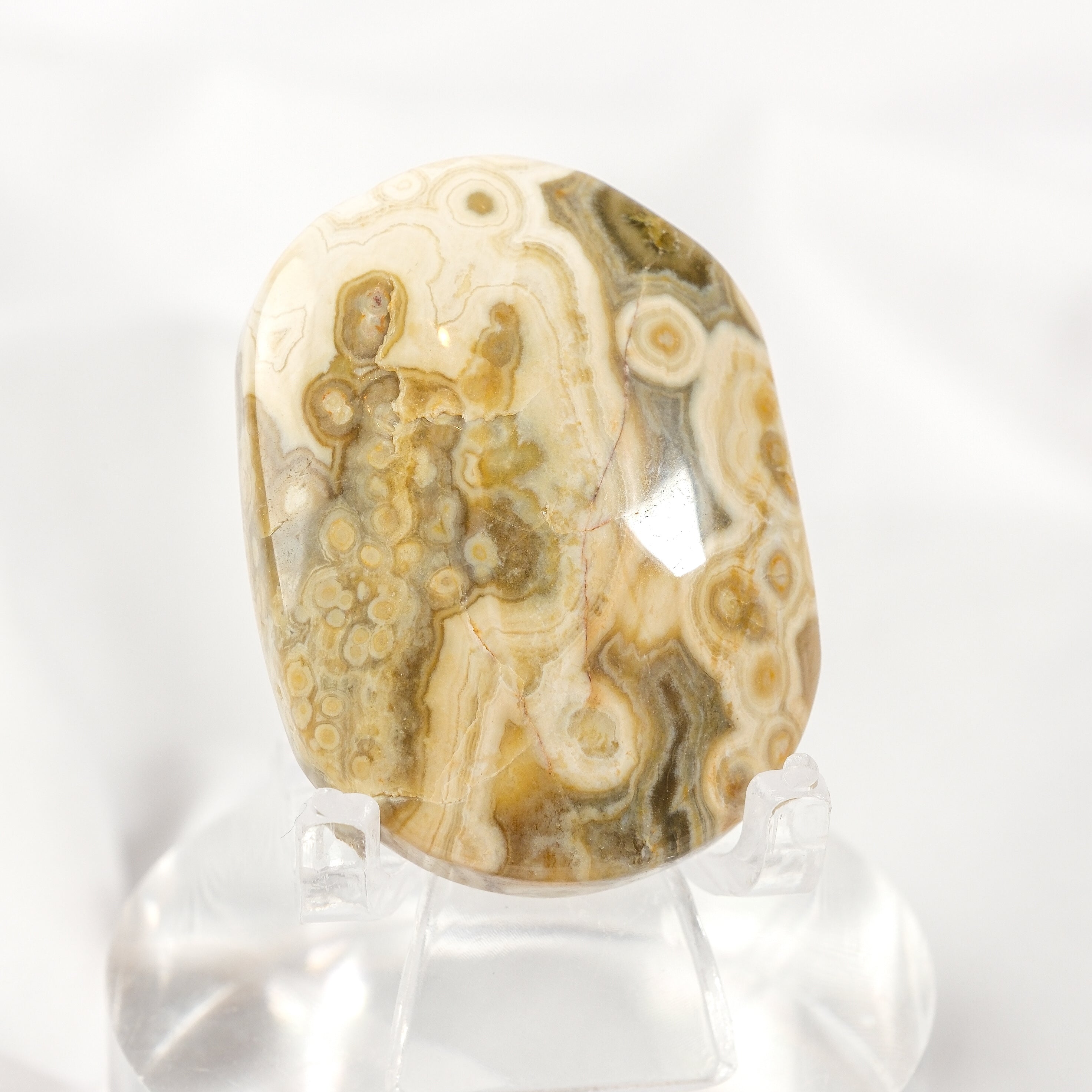 Orbicular Sea Jasper Palmstone