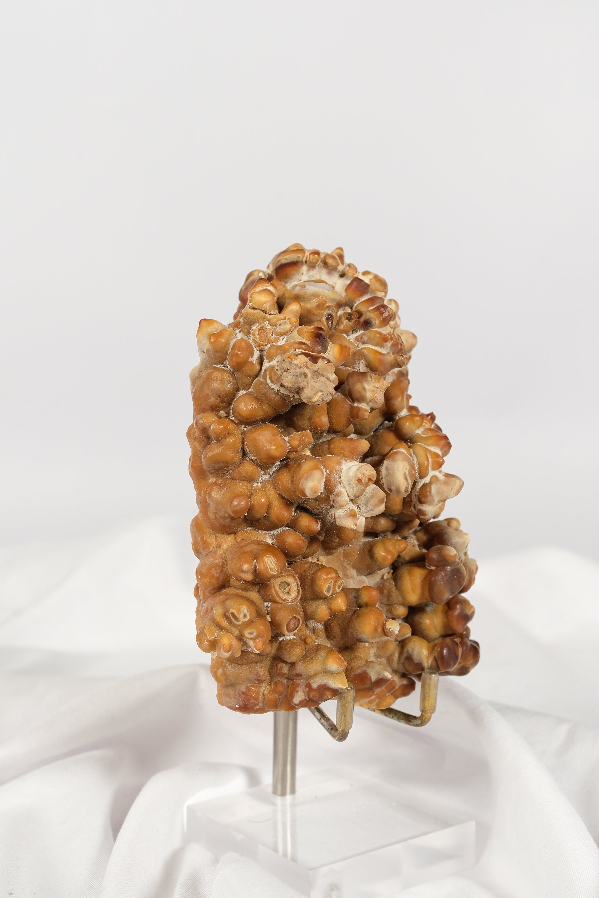 Brown Cave Aragonite