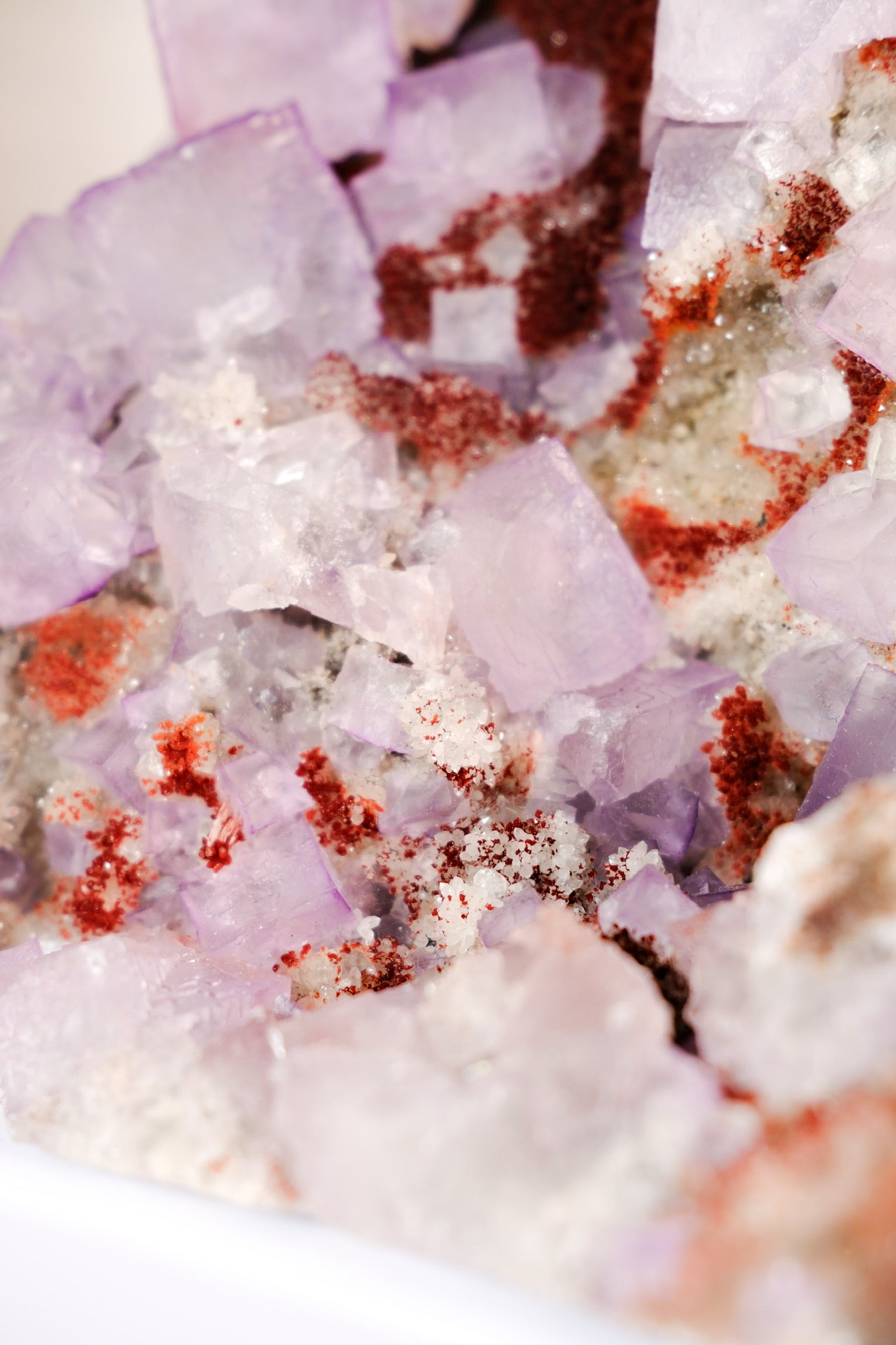 El Filo Fluorite Cluster