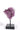 Amethyst Cluster with Hematite Inclusions on Stand