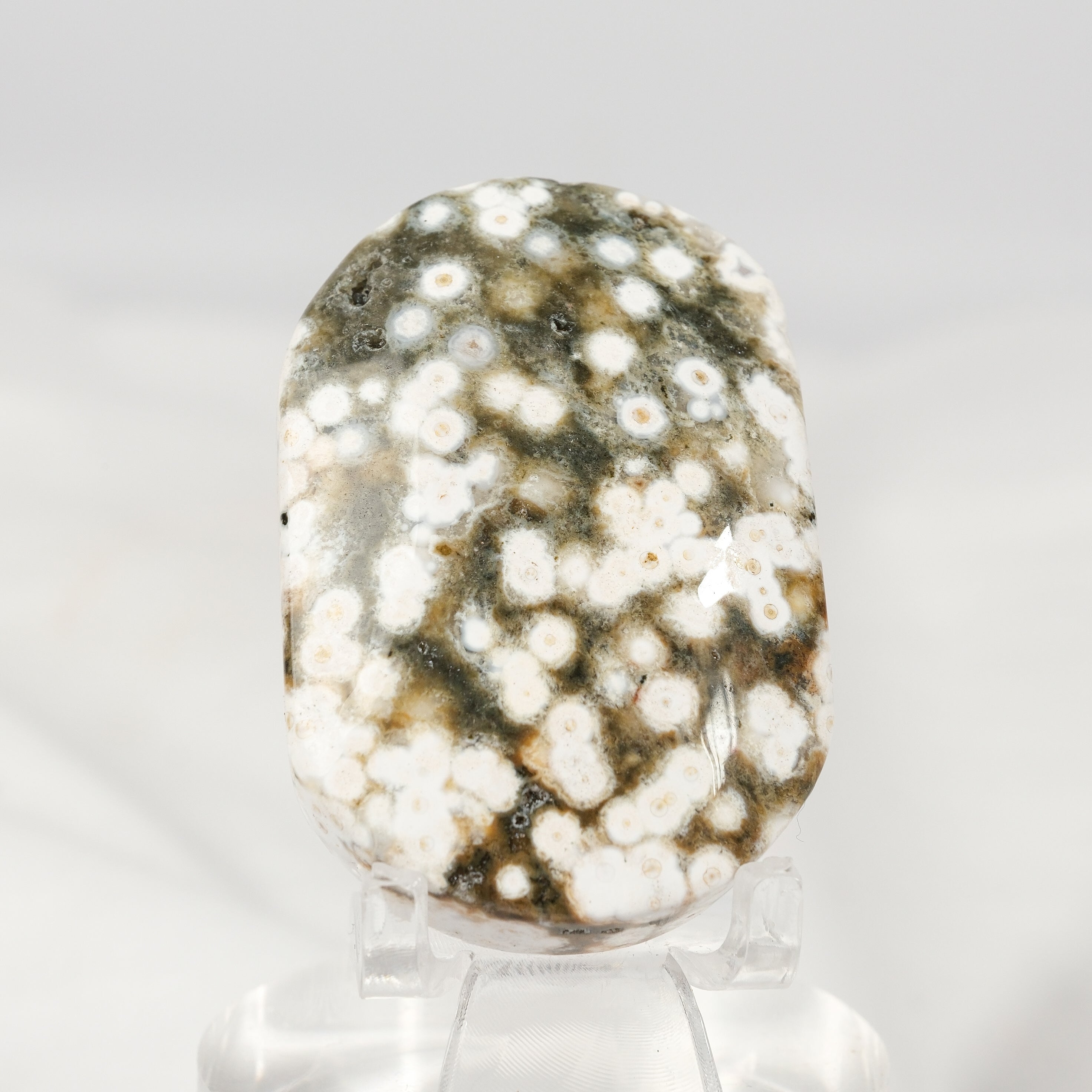 Orbicular Sea Jasper Palmstone