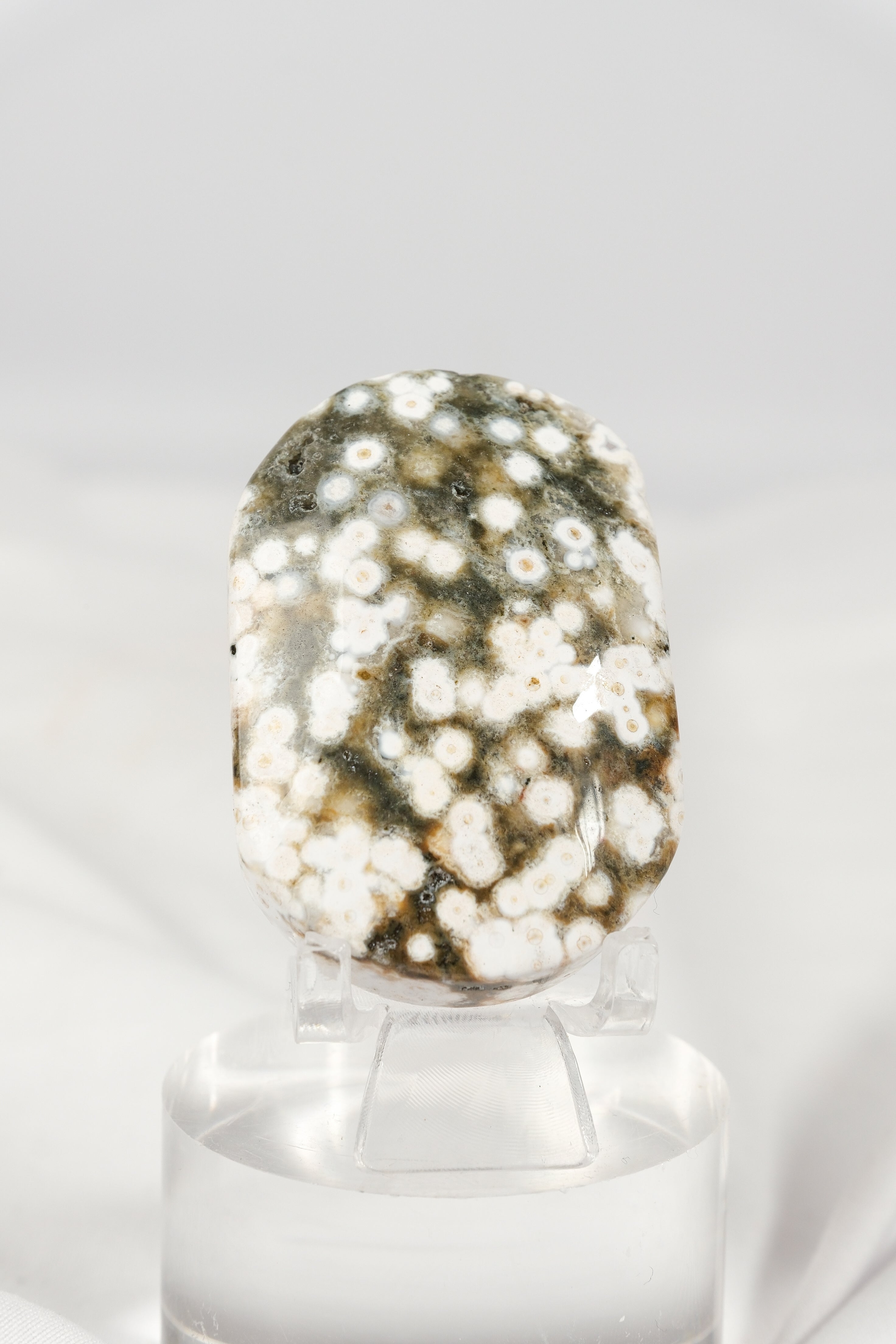Orbicular Sea Jasper Palmstone
