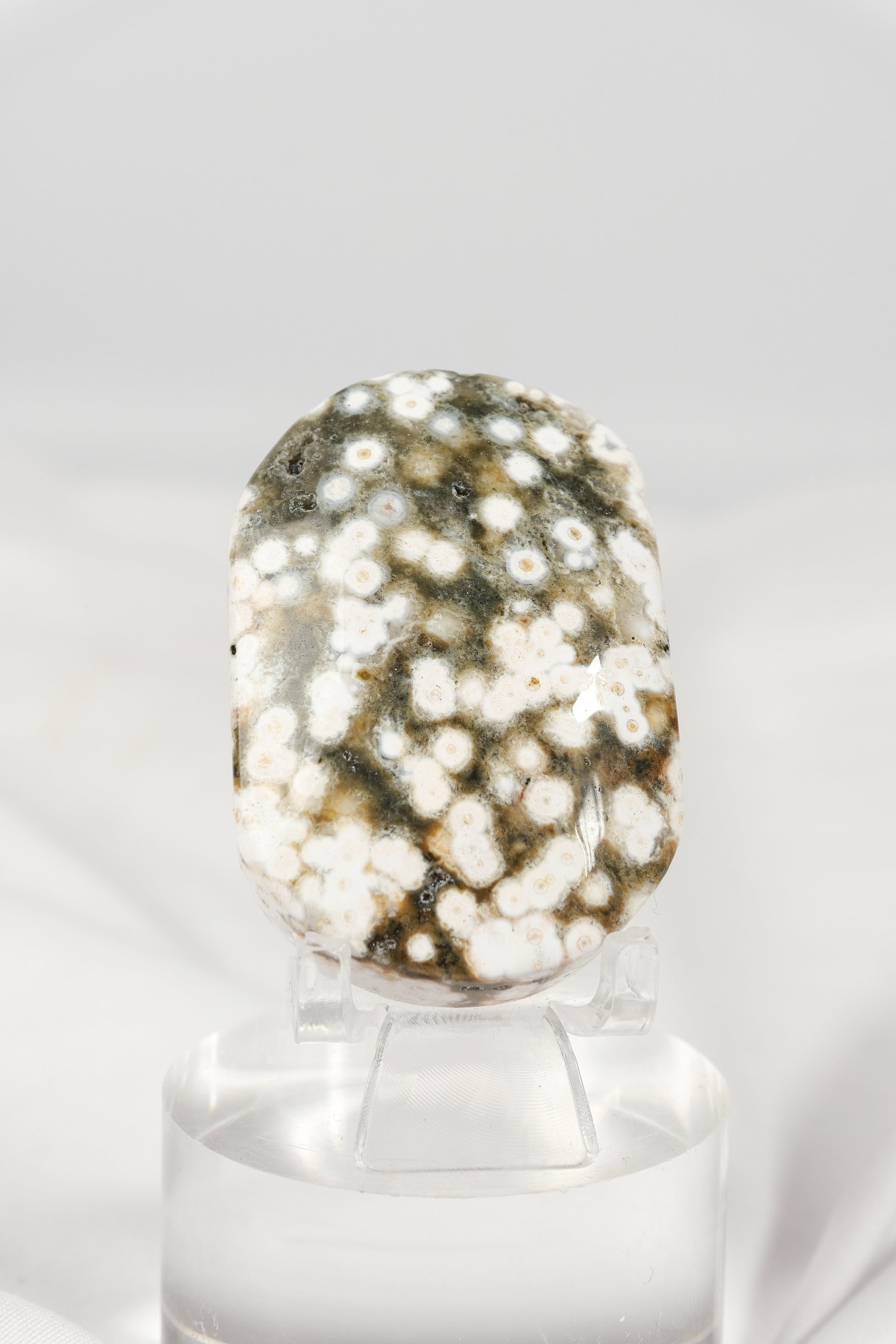 Orbicular Sea Jasper Palmstone