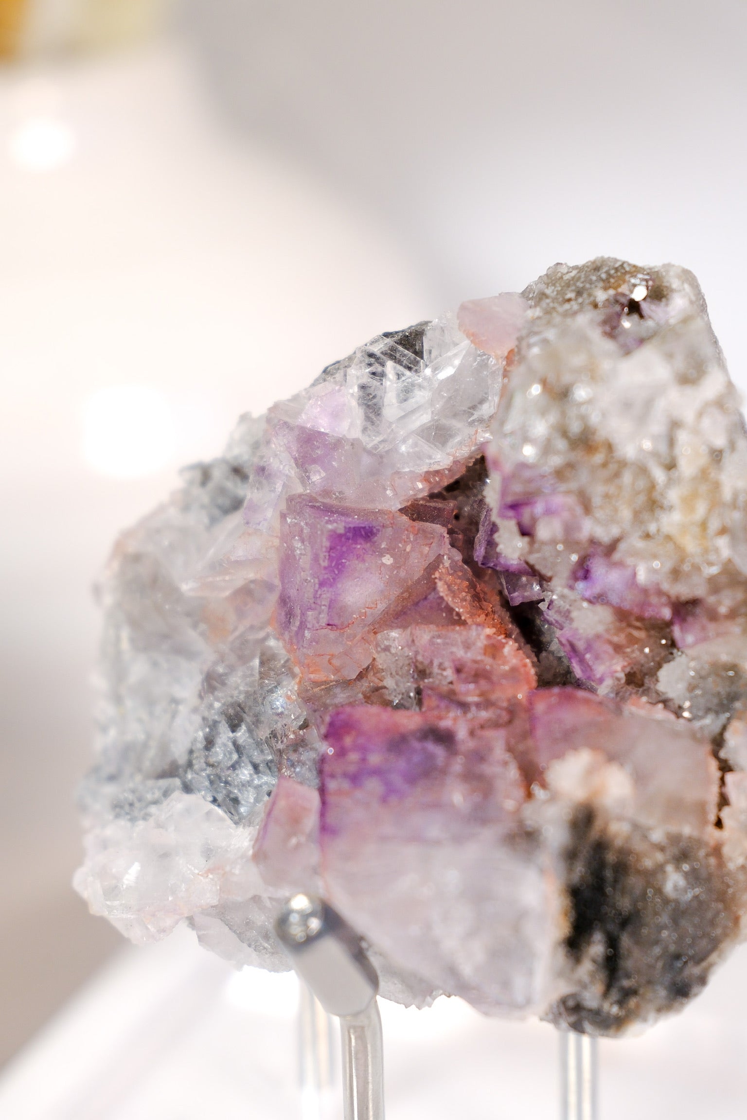 El Filo Fluorite Cluster