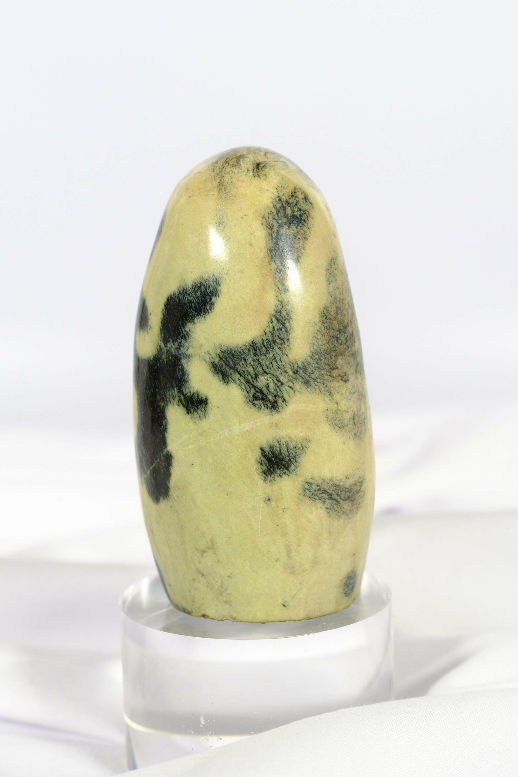 Leopard Stone Freeform Healing Crystal.