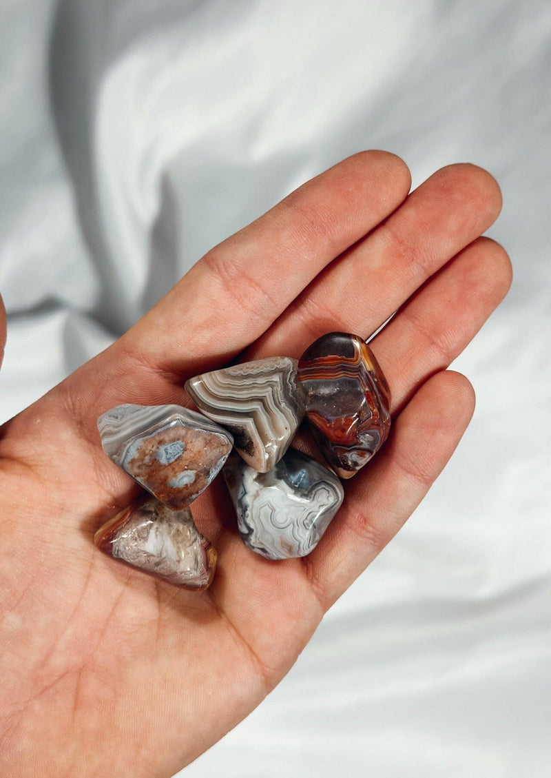 Laguna Lace Agate Tumbles Healing Crystal.